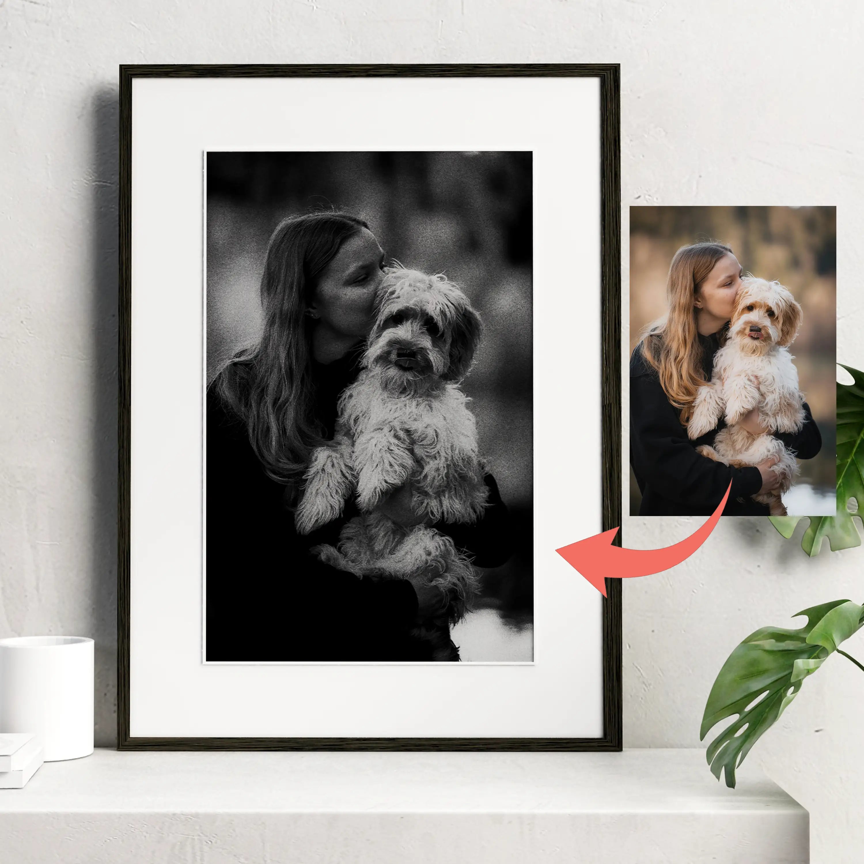 Custom Black and White Pet Portrait