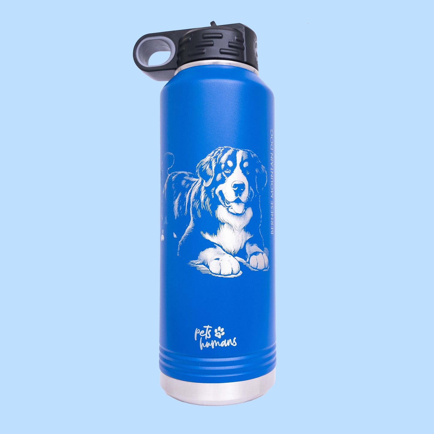 Bernese Mountain Dog Laser Engraved Water Bottle, Blue