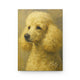 Personalized Poodle Fine-Art Graffiti-Style Hardcover Journal