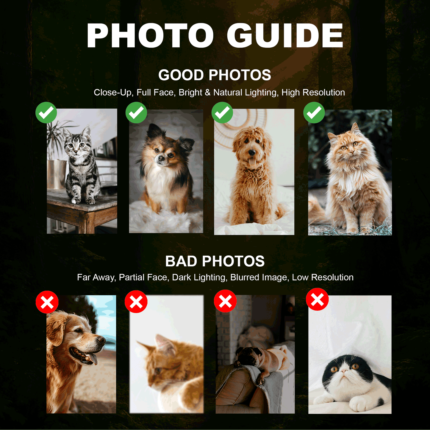 Custom Pet Movie Poster | Regal Cinematic Movie Poster