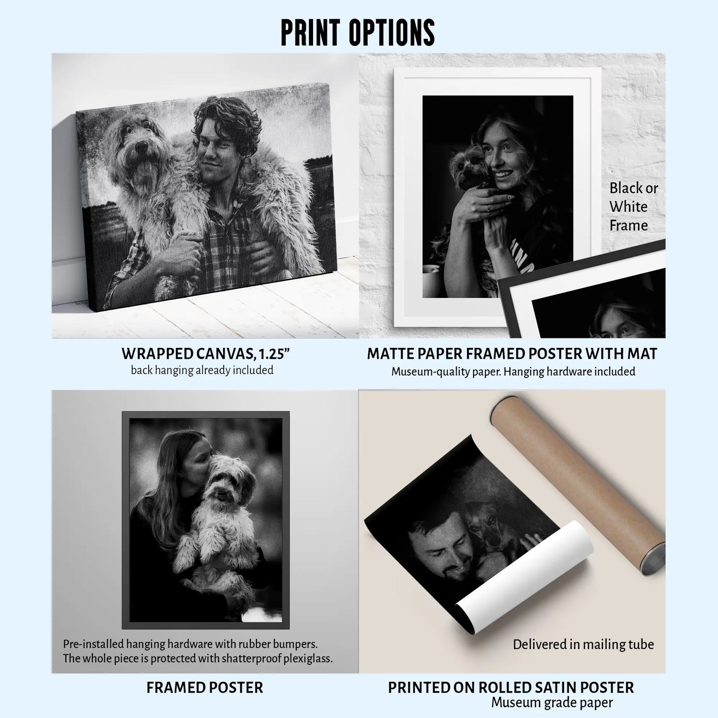 Custom Black and White Pet Portrait
