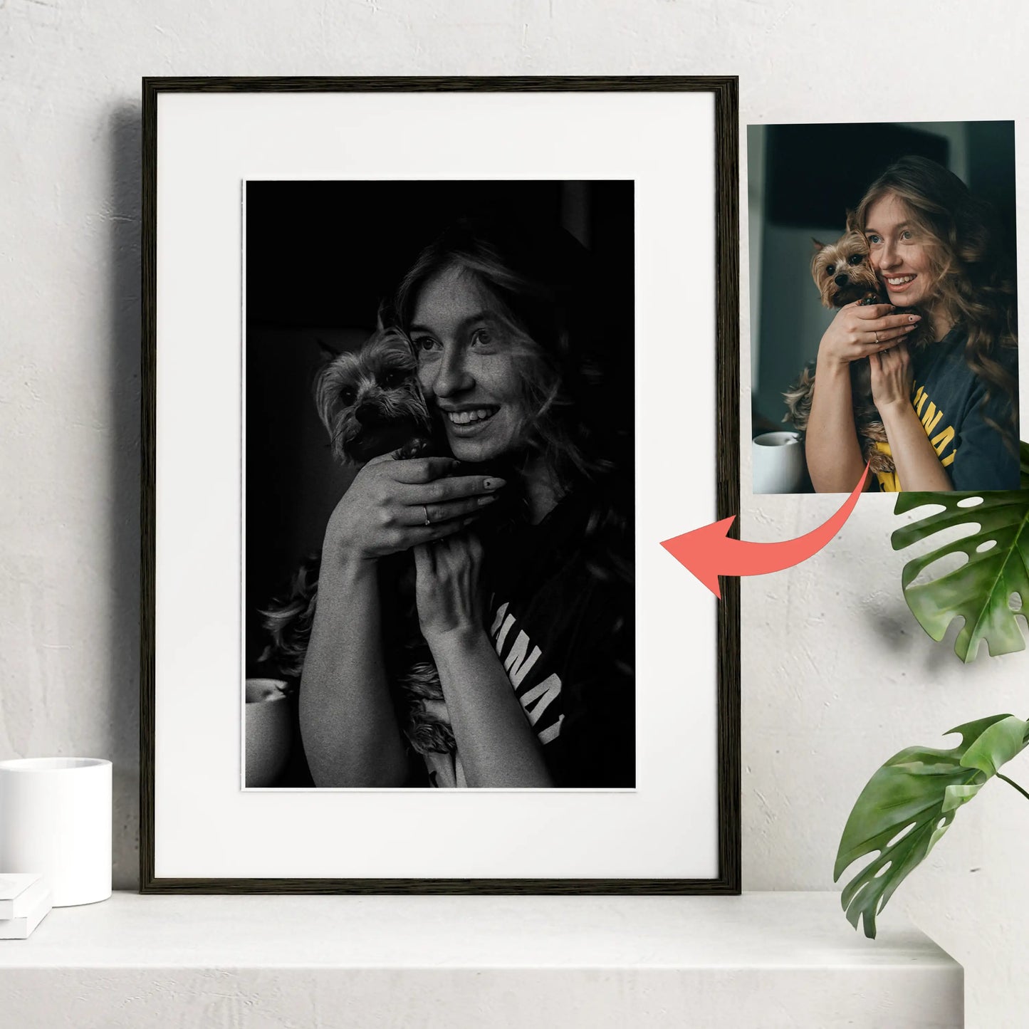 Custom Black and White Pet Portrait